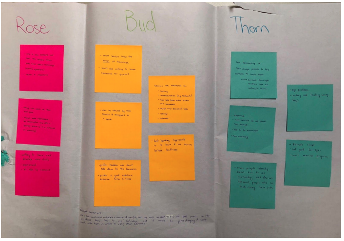 Design process categories of Rose Bud Thorn.