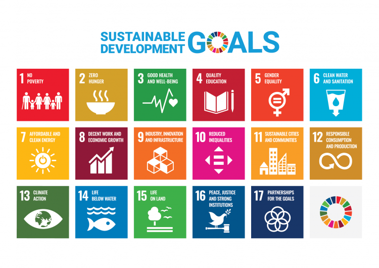 Sustainable Development Goals (SDGs) poster.