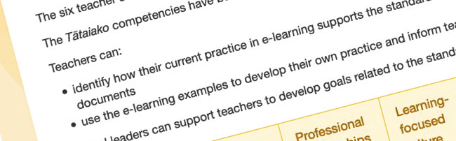 Screenshot of teacher standards