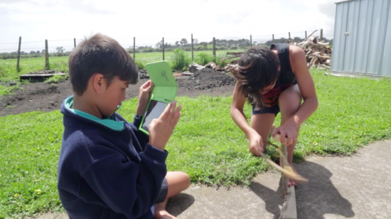 Coastal taranaki school