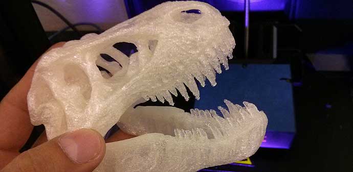 A printed model of a T-Rex skull
