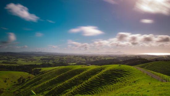 Waipu landscape